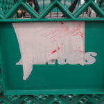 Ames shopping carts