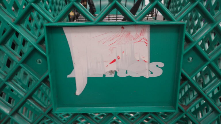 Ames shopping carts