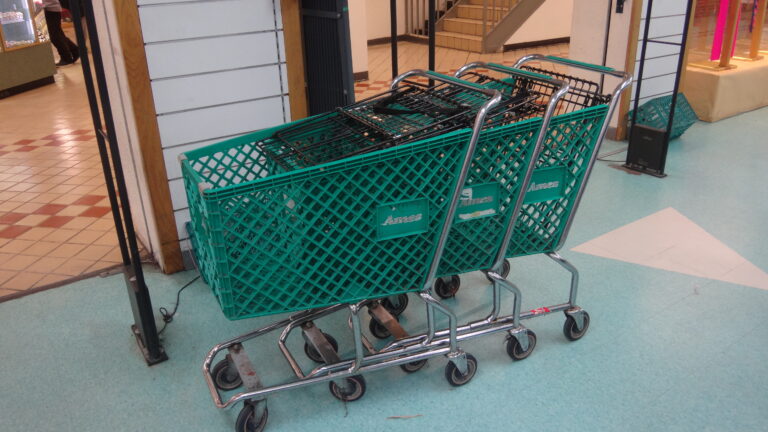 Ames shopping carts