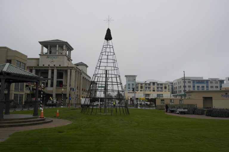 Christmas Tree in Virginia Beach