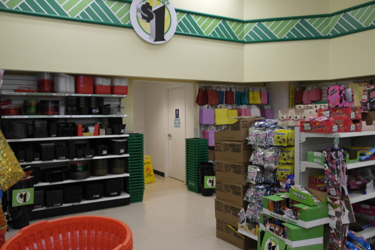 Dollar Tree - Stafford, VA