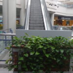 Landmark Mall – Alexandria, Virginia