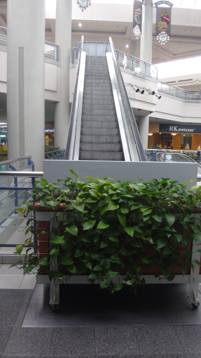 Landmark Mall - Alexandria, Virginia