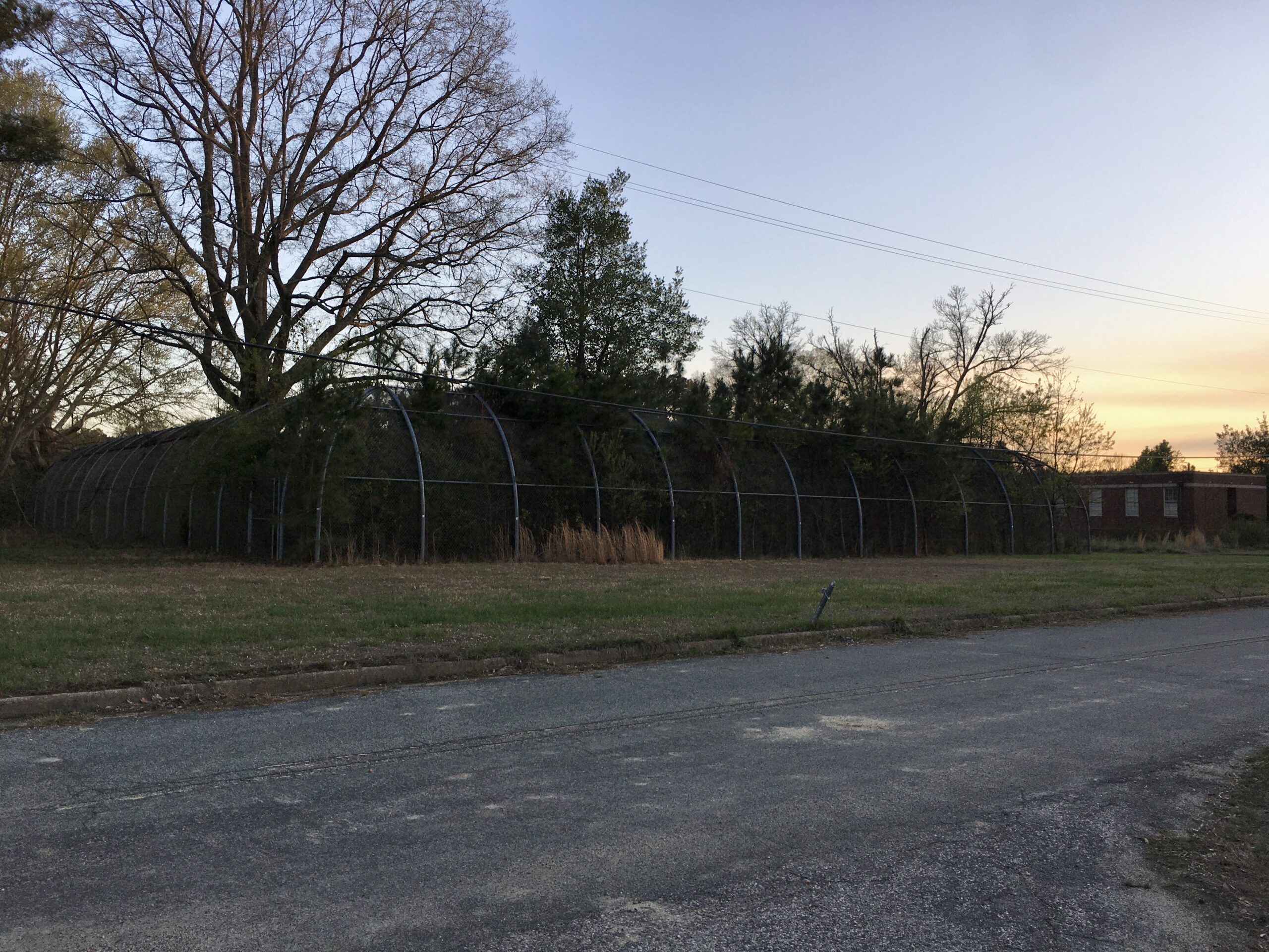 Overgrown Recreation Yard - Eastern State Hospital