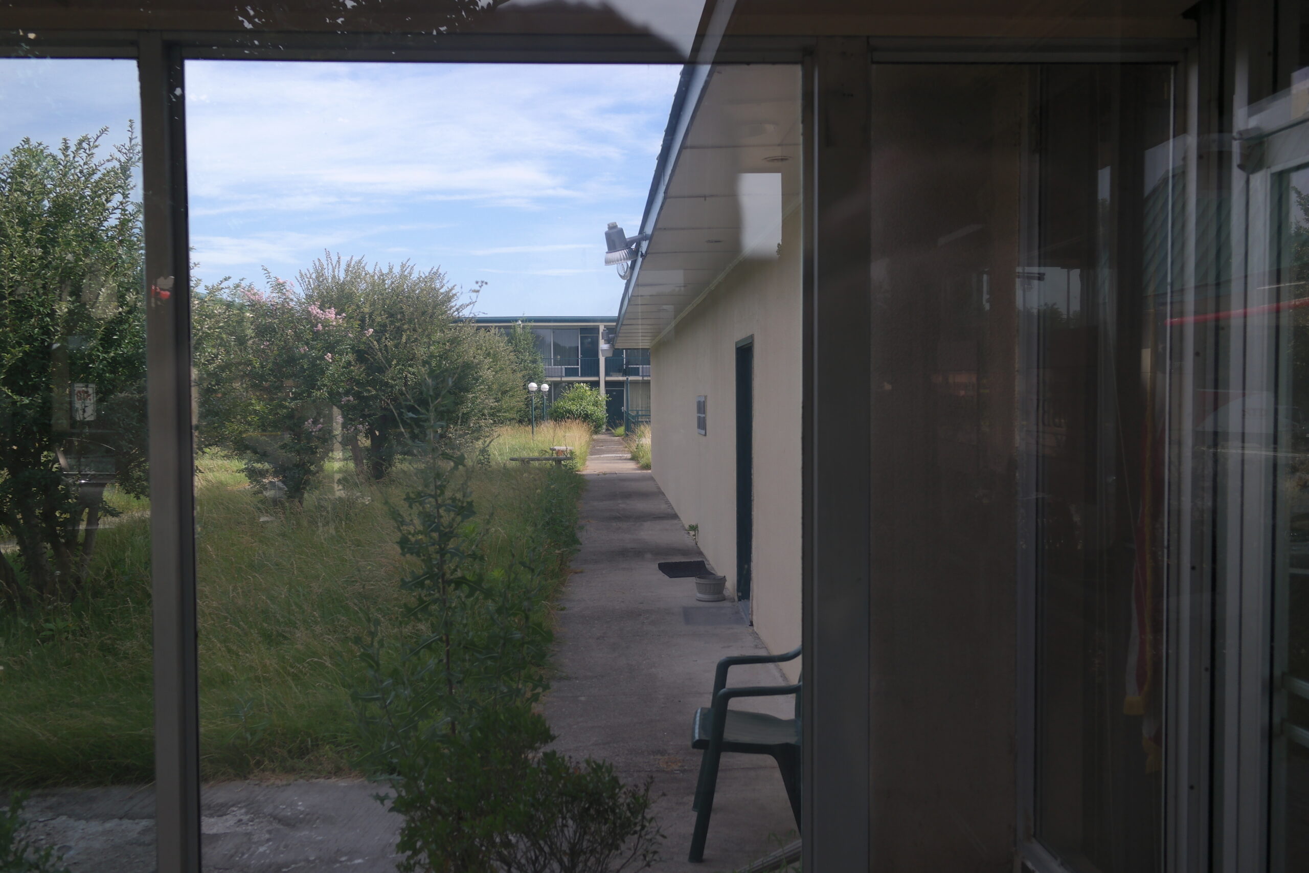 Overgrown courtyard