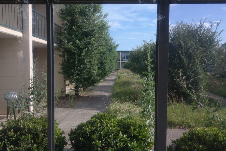 Overgrown courtyard
