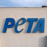 PETA Headquarters – Norfolk, Virginia