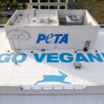 PETA Headquarters – Norfolk, Virginia