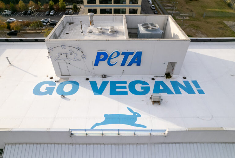 PETA Headquarters - Norfolk, Virginia