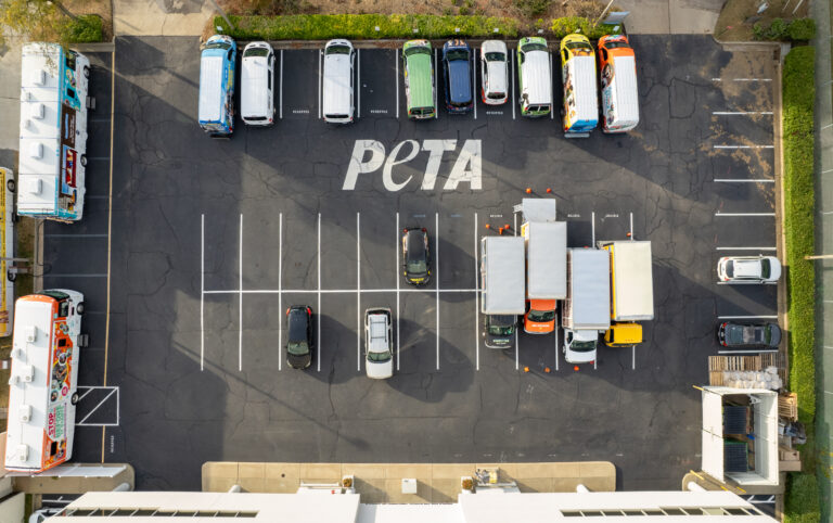 PETA Headquarters - Norfolk, Virginia